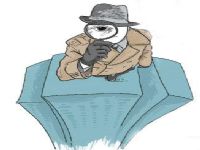 麻山区取证公司解说第三者承担离婚赔偿责任吗